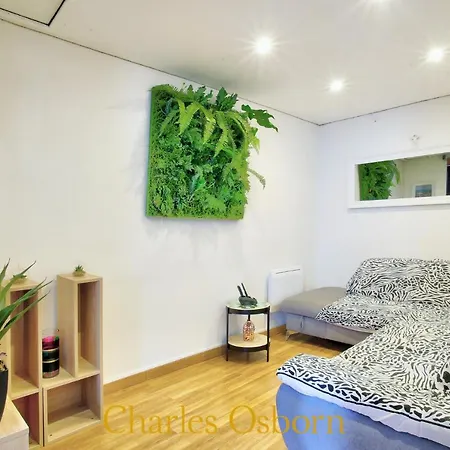 Le Quai Enchante 2*, Close To The City Center 公寓 *